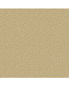 Papier lackiert Vermicelli 107-4021 - COLE and SON
