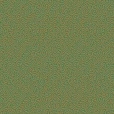 Papel Pintado Vermicelli 107-4022 - COLE and SON