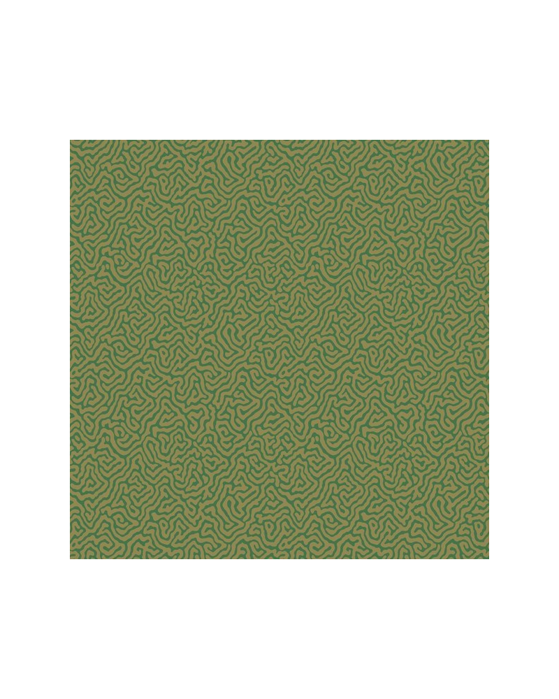 Papier lackiert Vermicelli 107-4022 - COLE and SON Papier lackiert Vermicelli 107-4022 - COLE and SON