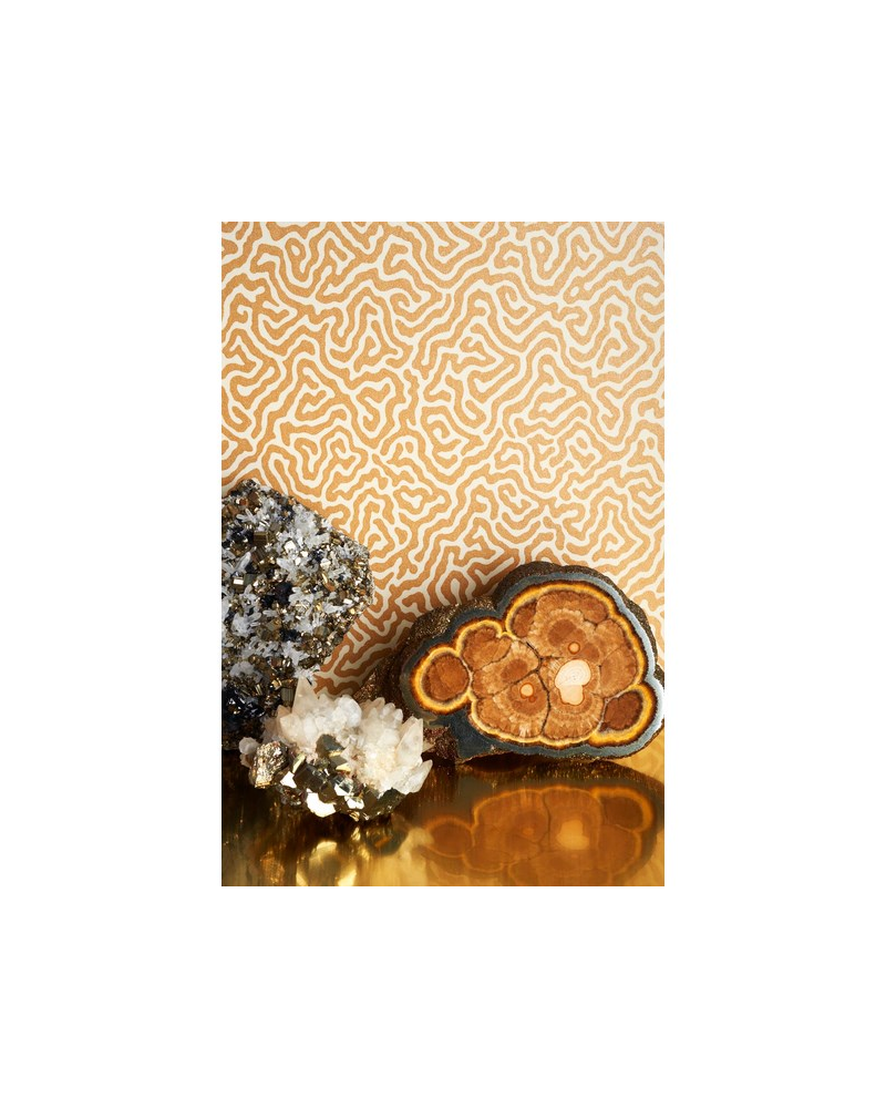 Papier lackiert Vermicelli 107-4022 - COLE and SON
