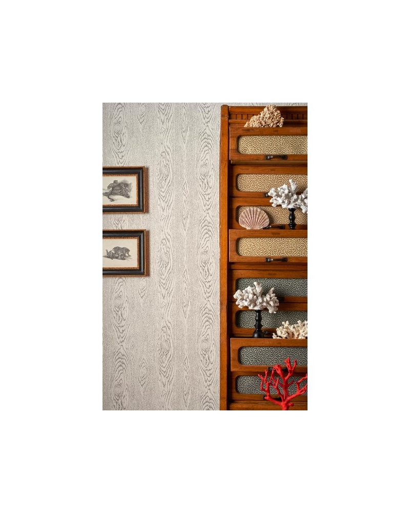 Holzkorn lackiert Papier 107-10049 - Ja. COLE and SON