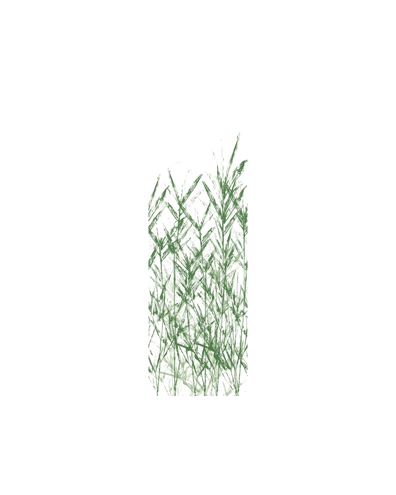 Papier lackiert P 2502-2 ROUSSEAU - Tres Tintas Papier lackiert P 2502-2 ROUSSEAU - Tres Tintas