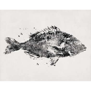 Papel Pintado M 2501-1 POISSONS - Tres Tintas