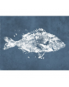 M 2501-2 POISSONEN