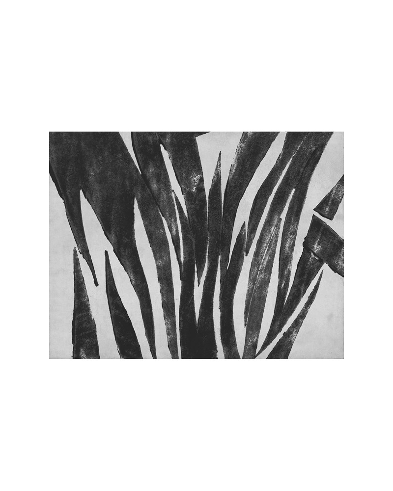Papel Pintado M 2503-2 POSEIDONIA - Tres Tintas