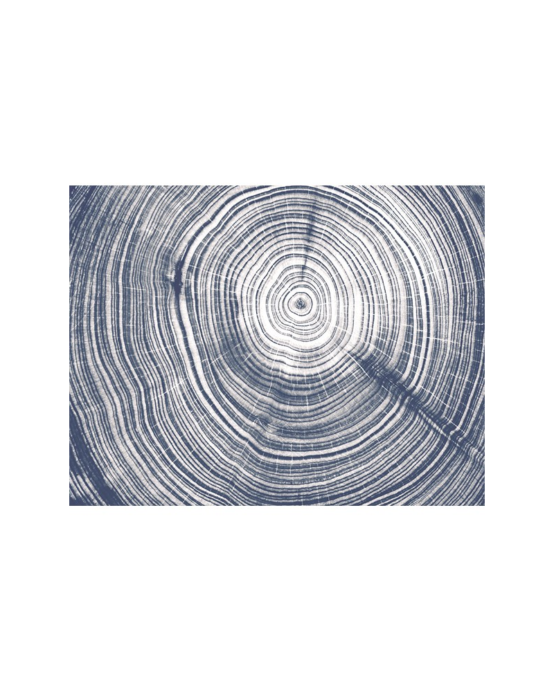 Papier lackiert M 2510-1 PIN COUER - Tres Tintas Papier lackiert M 2510-1 PIN COUER - Tres Tintas