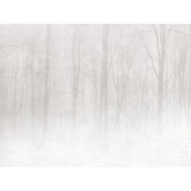 Papier peint Vinterskog 622-18 Grey - SANDBERG
