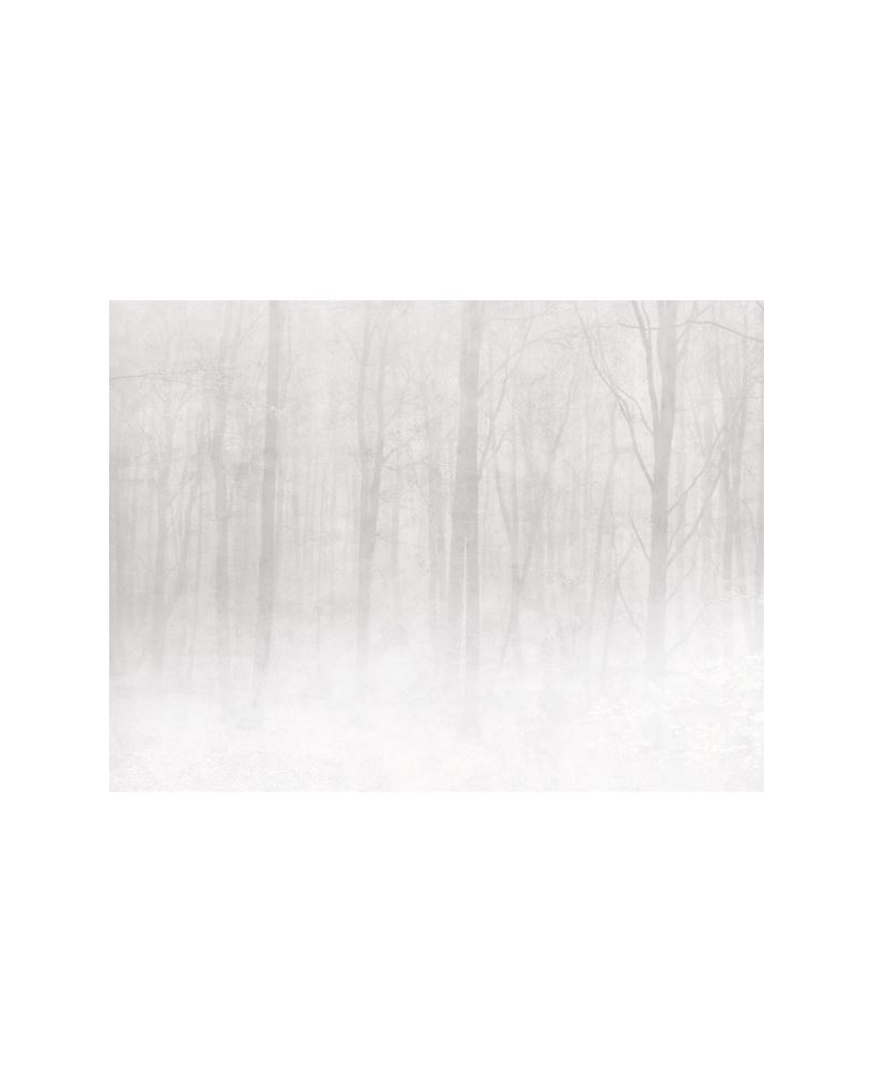 Wallpaper Vinterskog 622-18 Grey - SANDBERG Wallpaper Vinterskog 622-18 Grey - SANDBERG