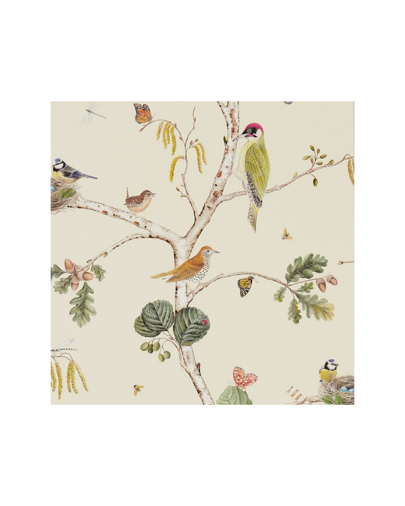 Papel de parede WOODLAND CHORUS DWOW215703-cream multi - Sanderson Papel de parede WOODLAND CHORUS DWOW215703-cream multi - Sanderson