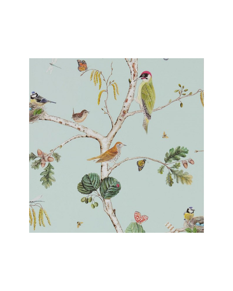 Papel Pintado WOODLAND CHORUS DWOW215706-sky blue multi - Sanderson Papel Pintado WOODLAND CHORUS DWOW215706-sky blue multi - Sanderson