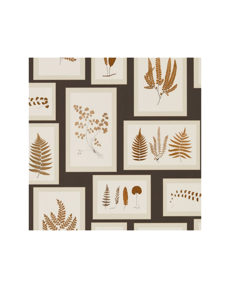 Papel de parede FERN GALLERY DWOW215713-charcoal spice - Sanderson Papel de parede FERN GALLERY DWOW215713-charcoal spice - Sanderson