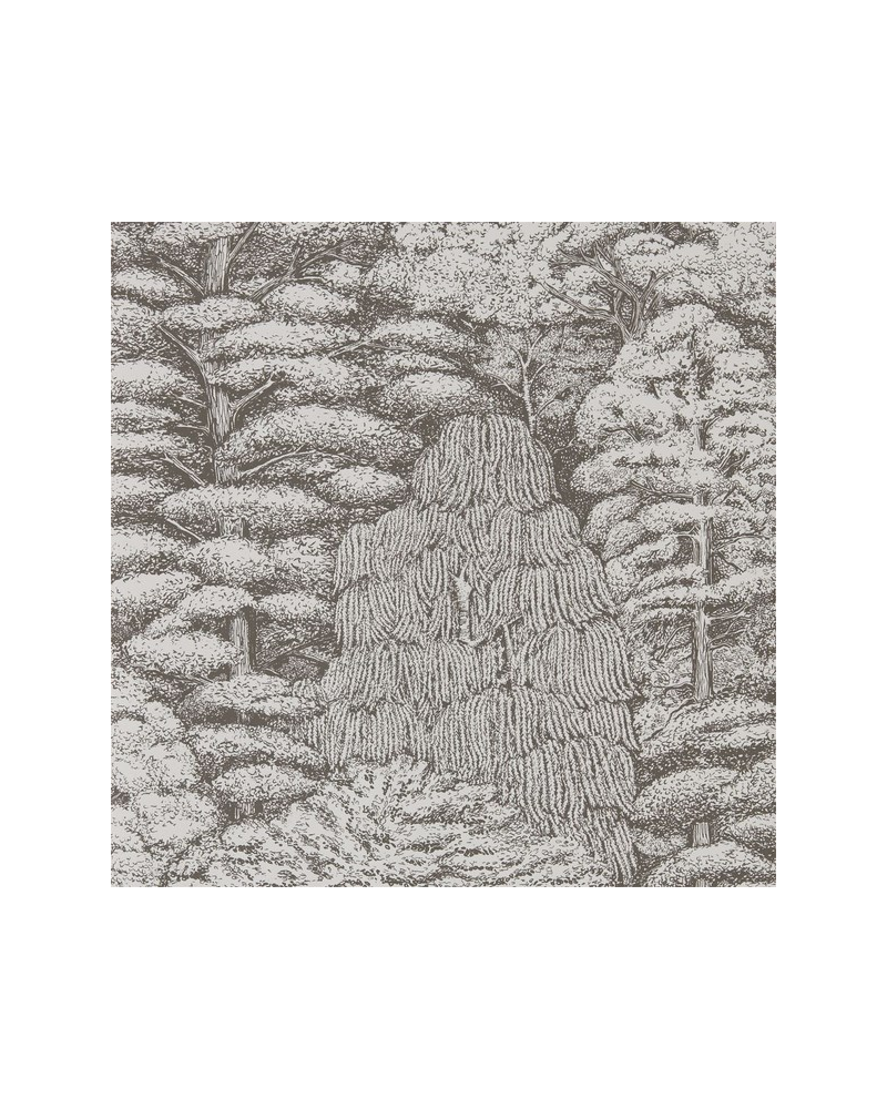 Tapete WOODLAND TOILE DWOW215716-ivory charcoal - Sanderson Tapete WOODLAND TOILE DWOW215716-ivory charcoal - Sanderson