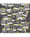 Wallpaper SRE68229140 - Caselio