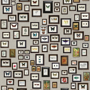 Papel de parede W6953-01 NARISSA - MATTHEW WILLIAMSON
