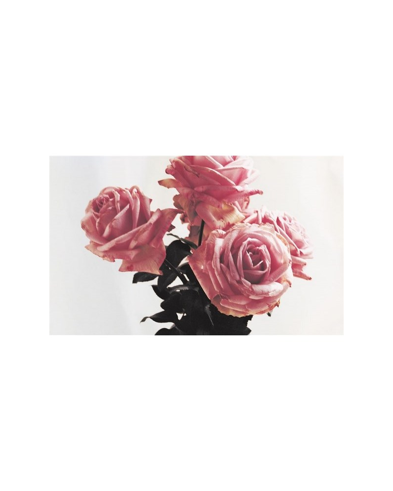 Wallpaper PRL703-06 Mapleton Stripe Antique Rose - Ralph Lauren Home
