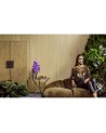 Wallpaper Fierce 23500 - Arte