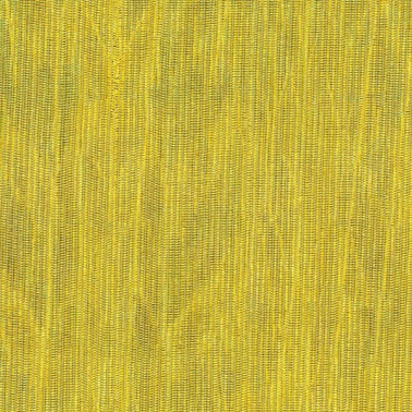 Papel de parede Fierce 23505 - Arte