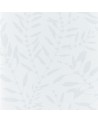 HANZ111660 CHACONIA SHIMMER