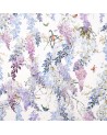 DWAP226286 WISTERIA FALLAZIONI Ametista