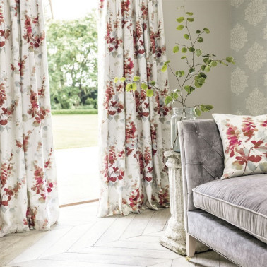DWAP226290 DELPHINIUM Corallo