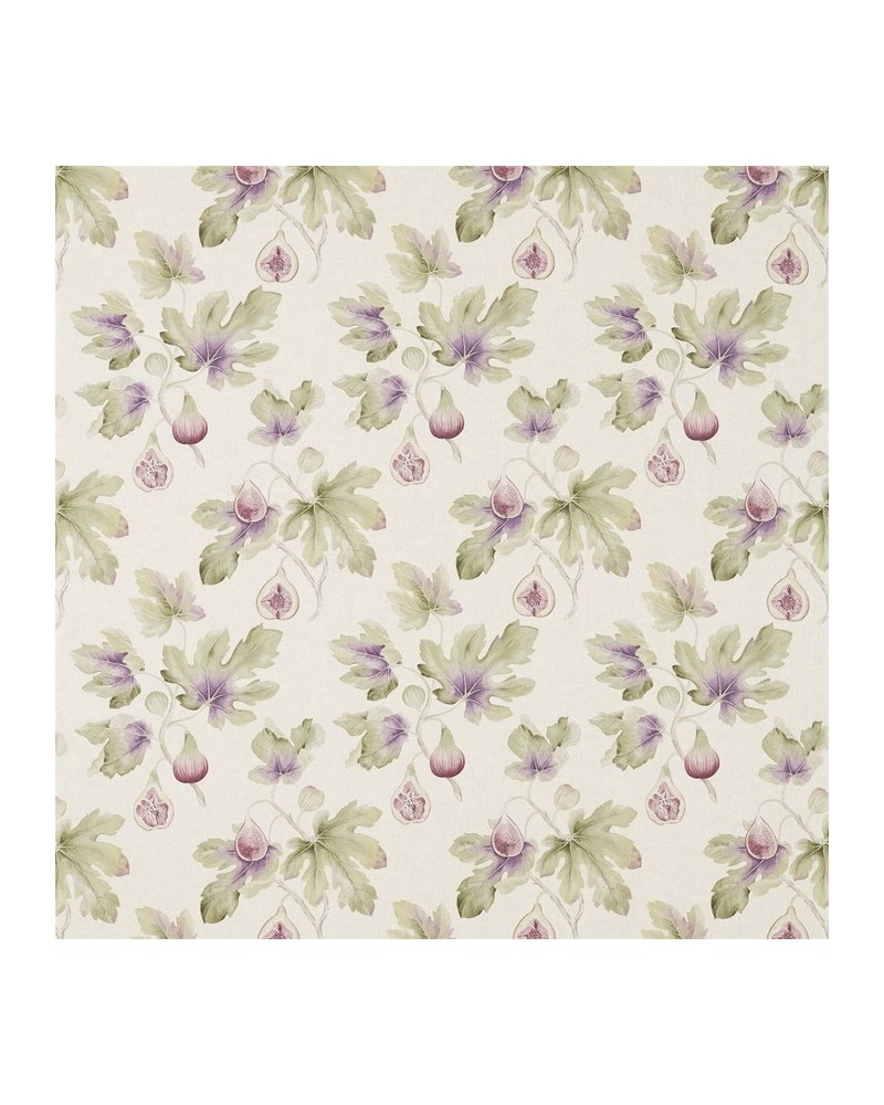Fabric DART226327 FIG HARVEST Sanderson Fabric DART226327 FIG HARVEST Sanderson