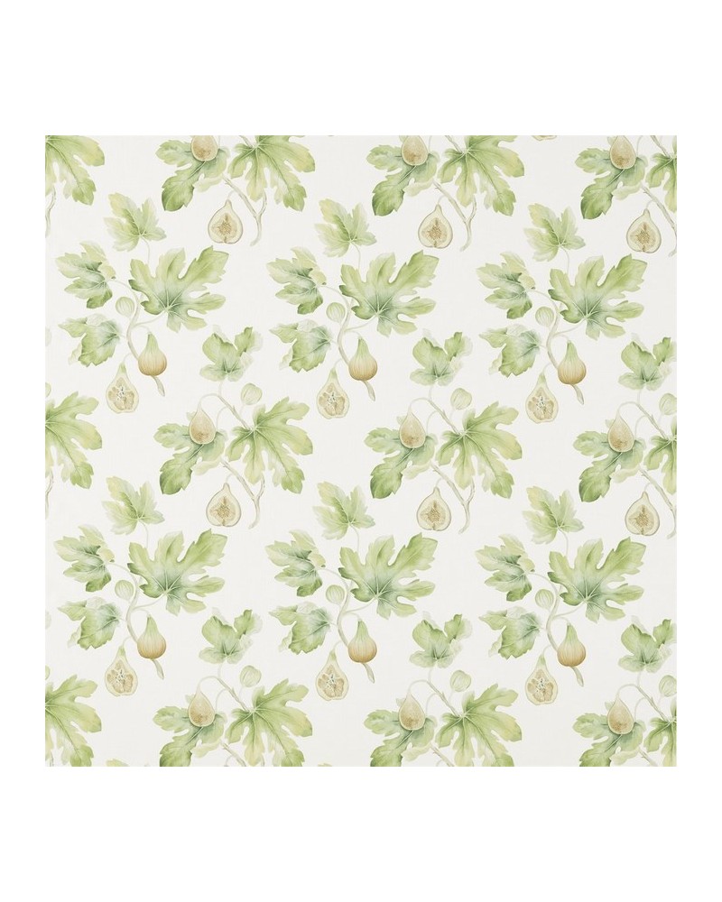 Fabric DART226329 FIG HARVEST Sanderson Fabric DART226329 FIG HARVEST Sanderson