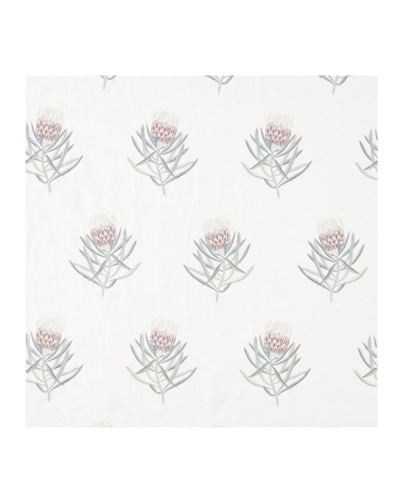 Fabric DART236352 PROTEA FLOWER Sanderson Fabric DART236352 PROTEA FLOWER Sanderson