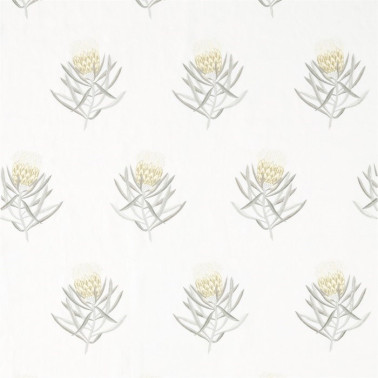 Fabric DART236355 PROTEA FLOWER Sanderson