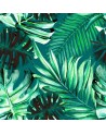 Papier peint RAINFOREST WP20108 - MIND THE GAP