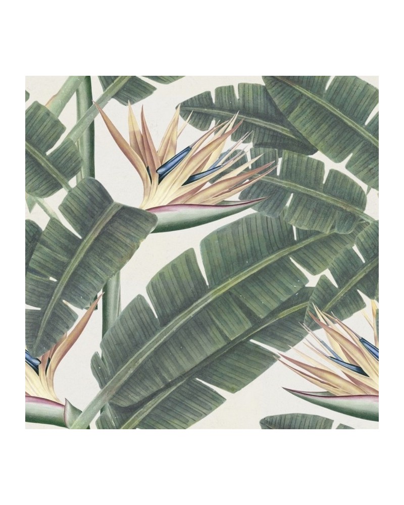Tapete TROPICAL BLOOM WP20096 - MIND THE GAP Tapete TROPICAL BLOOM WP20096 - MIND THE GAP