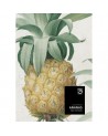 Papier peint ANANAS WP20090 - MIND THE GAP