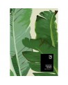 Tapete BANANA LEAVES WP20111 - MIND THE GAP