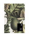 Papier peint EXOTIC FRUIT I WP20097 - MIND THE GAP