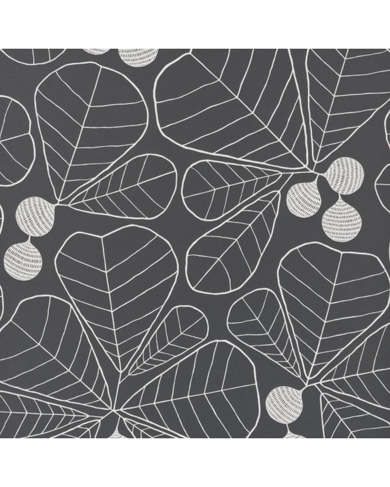 Carta da Parati MISP1199 GREAT LEAF BLACKBOARD - MISSPRINT Carta da Parati MISP1199 GREAT LEAF BLACKBOARD - MISSPRINT