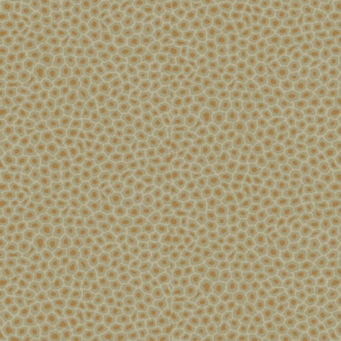 Papier peint Senzo Spot 109-6029 - COLE and SON