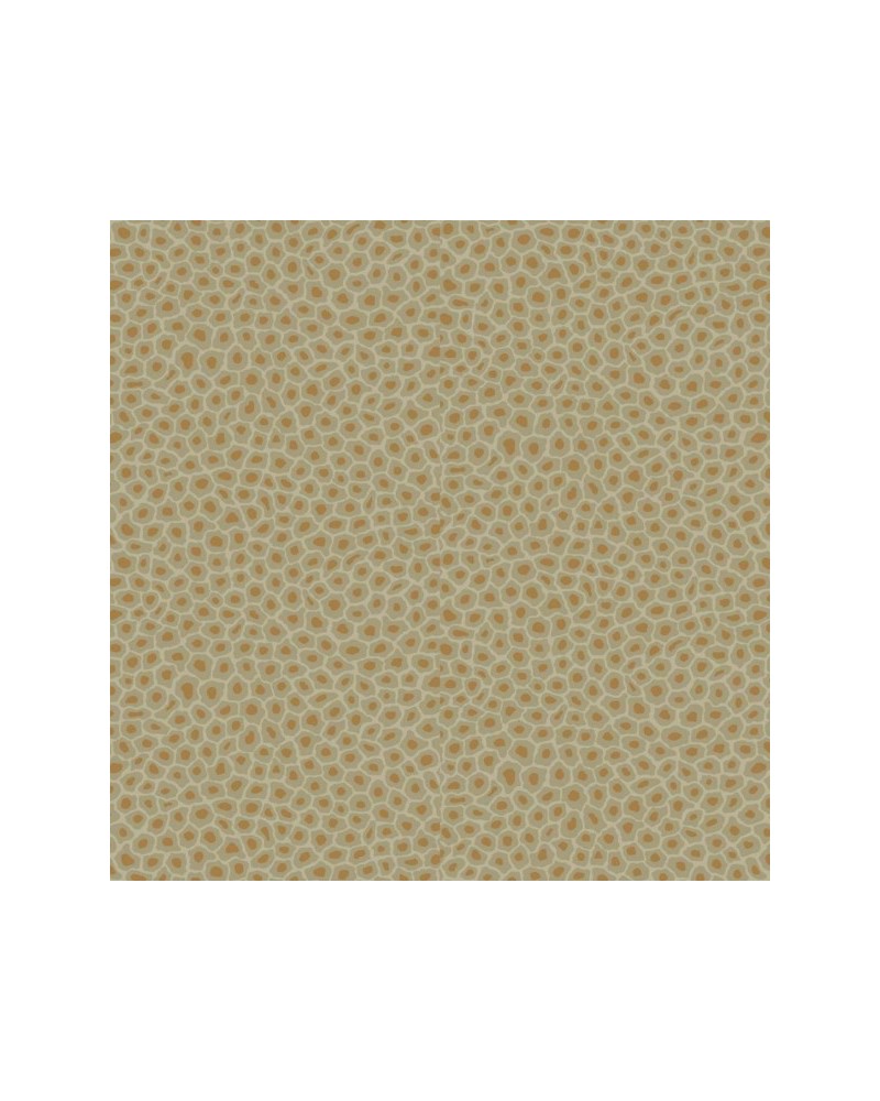 Papel de parede Senzo Spot 109-6029 - COLE and SON Papel de parede Senzo Spot 109-6029 - COLE and SON