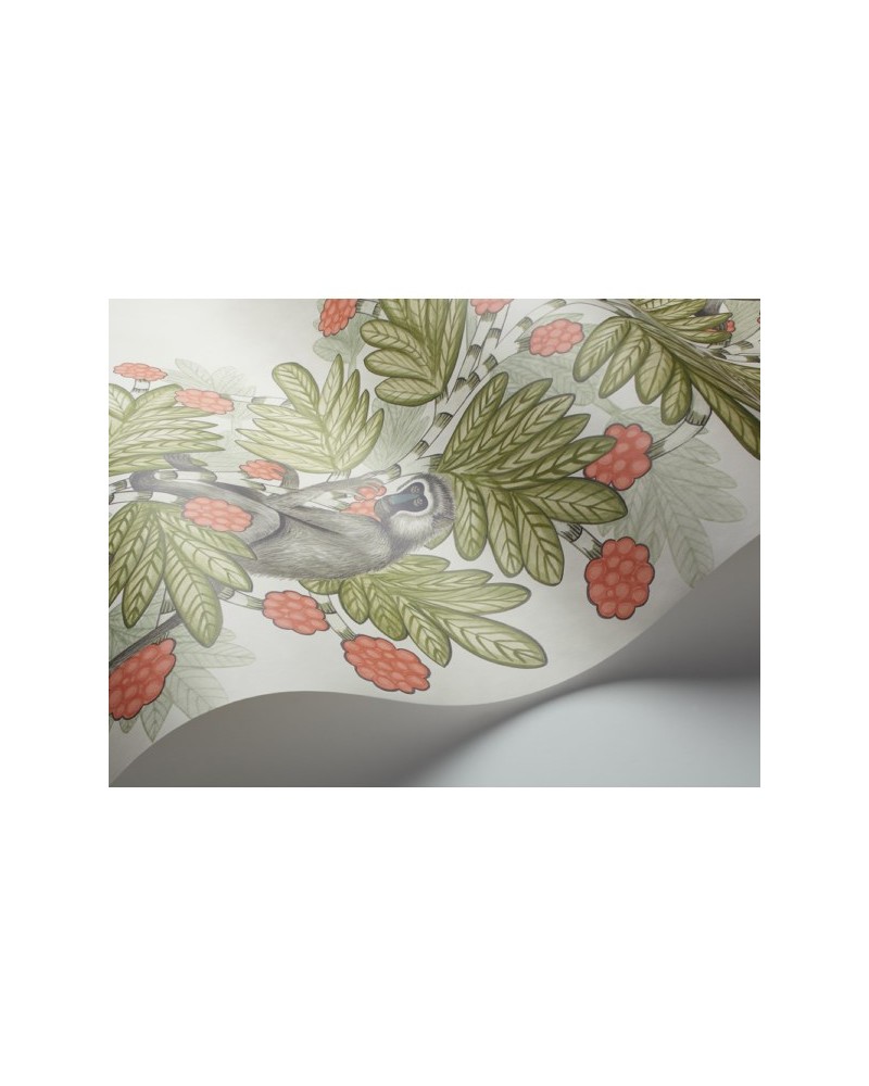 Wallpaper Acacia 109-11051 - COLE and SON