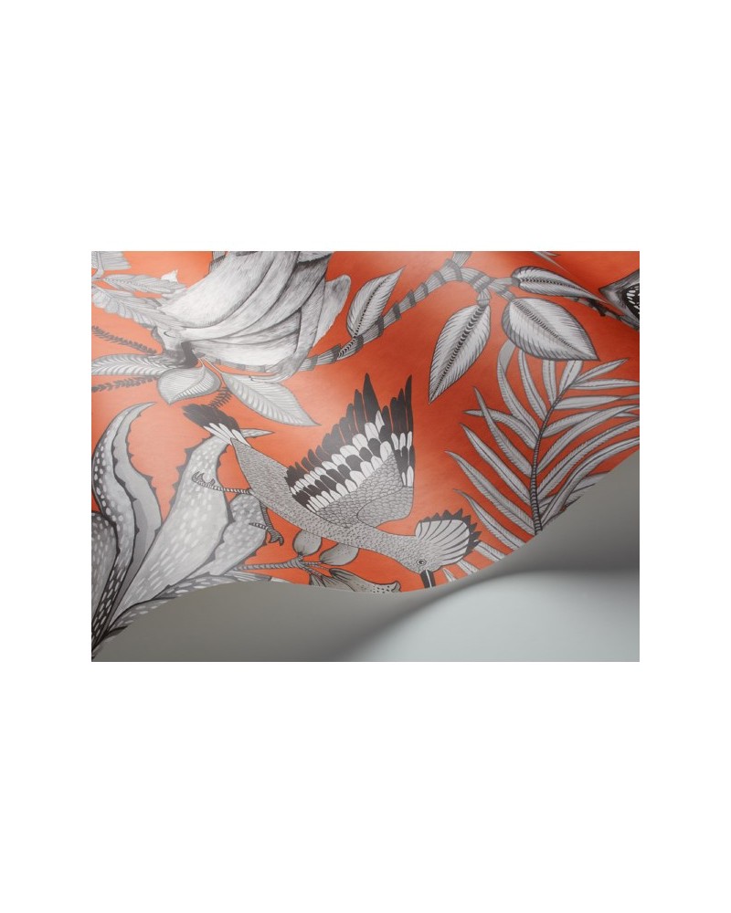 Papier peint Savuti 109-1001 - COLE and SON