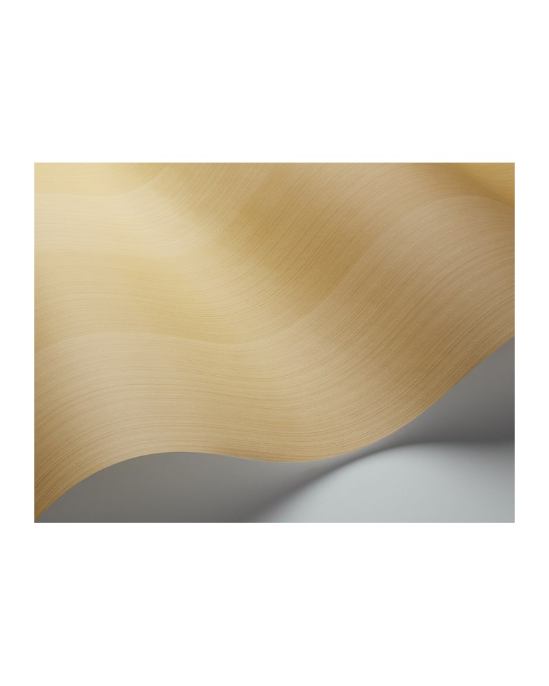 Papel Pintado 110-4021 JASPE STRIPE - COLE and SON