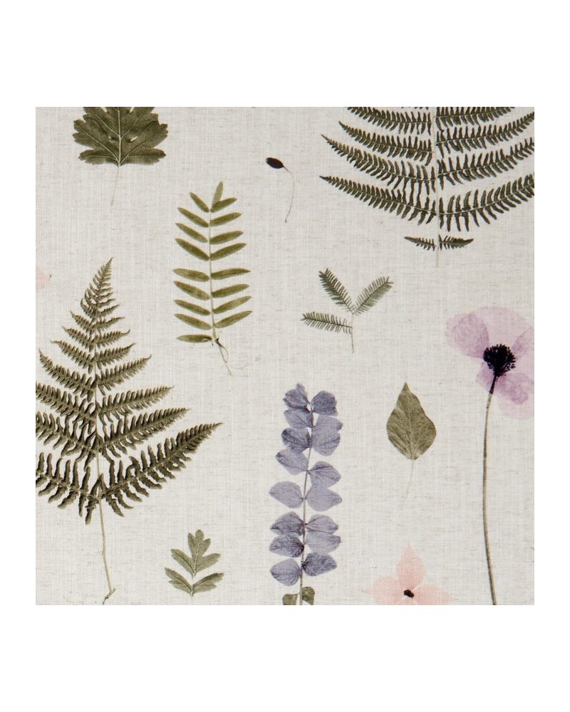 Tecido F1089-01 HERBARIUM BLUSH NATURAL CLARKE & CLARKE Tecido F1089-01 HERBARIUM BLUSH NATURAL CLARKE & CLARKE