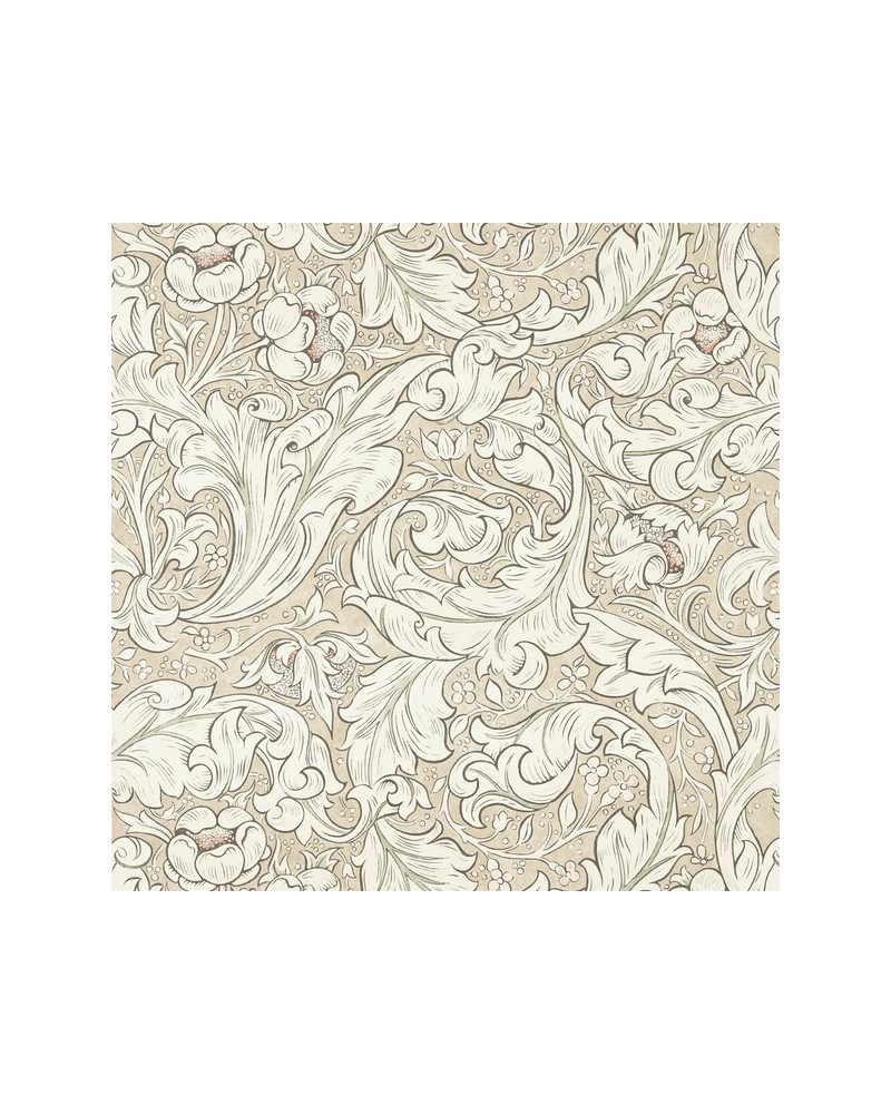 Papier peint DMPU216051 PURE BACHELORS BUTTON - MORRIS CO Papier peint DMPU216051 PURE BACHELORS BUTTON - MORRIS CO