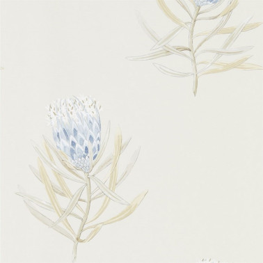 Papel de parede DART216327 PROTEA FLOWER - Sanderson
