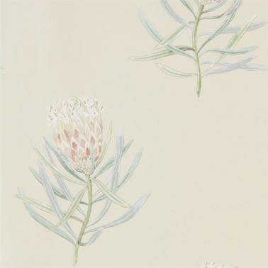 Papel Pintado DART216329 PROTEA FLOWER - Sanderson