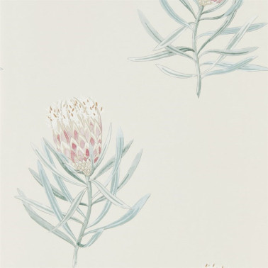 Papel de parede DART216330 PROTEA FLOWER - Sanderson