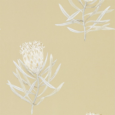 Papel Pintado DART216331 PROTEA FLOWER - Sanderson