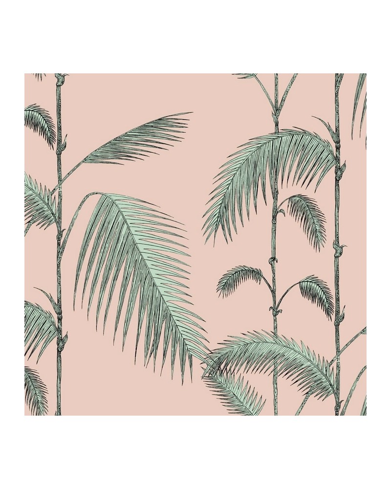 Wallpaper 112-2005 PALM LEAVES - COLE and SON Wallpaper 112-2005 PALM LEAVES - COLE and SON
