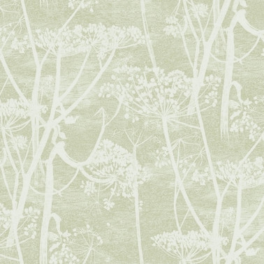 Wallpaper 112-8029 COW PARSLEY - COLE and SON
