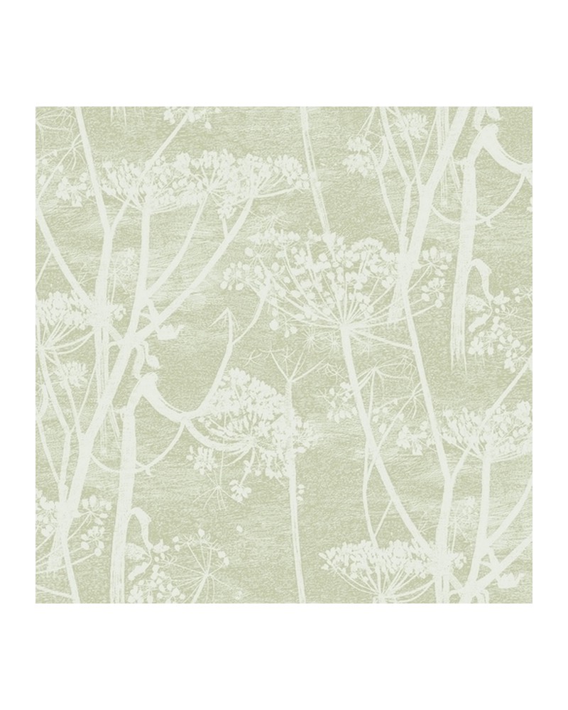 Papel de parede 112-8029 COW PARSLEY - COLE and SON Papel de parede 112-8029 COW PARSLEY - COLE and SON