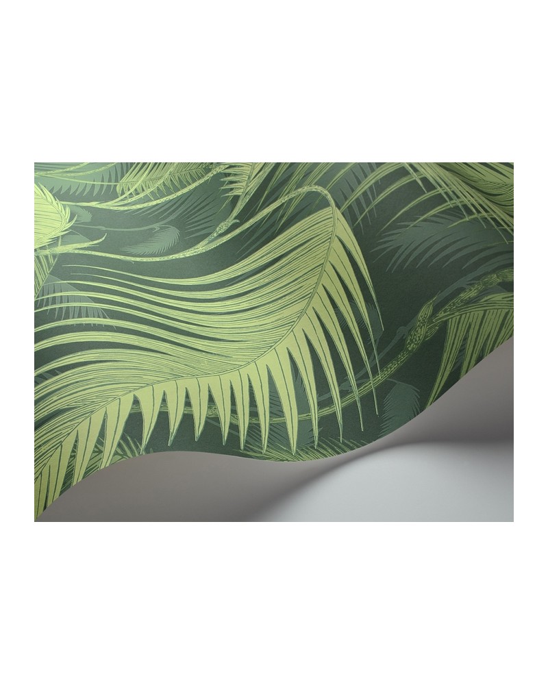 Carta da Parati 112-1003 PALM JUNGLE - COLE and SON