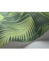 Carta da Parati 112-1003 PALM JUNGLE - COLE and SON